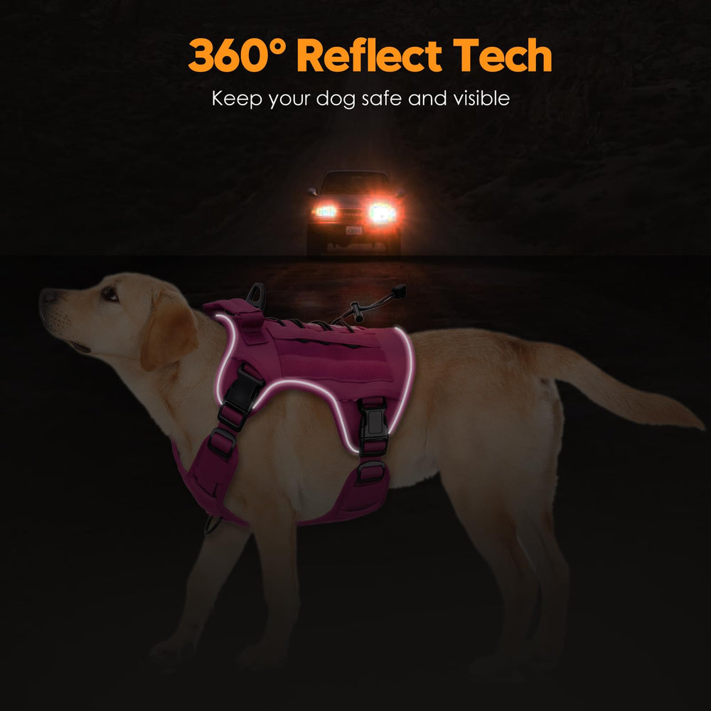 Bruvoalon four-way adjustable fit grows with your dog