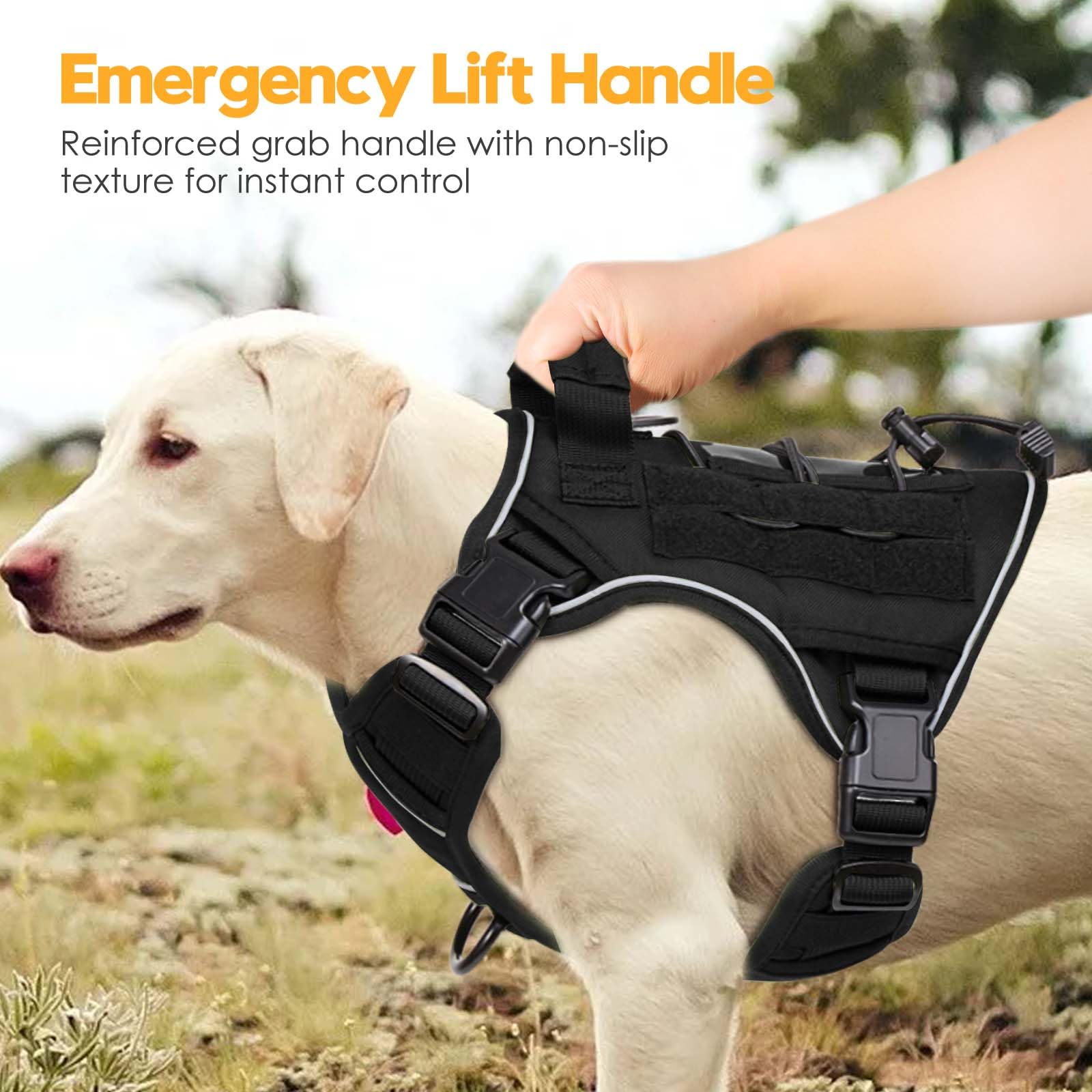 Bruvoalon heavy-duty tactical dog harness adjustable straps demonstrates four-way fit across breeds.