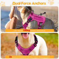 Bruvoalon breathable padding keeps dogs cool during activity
