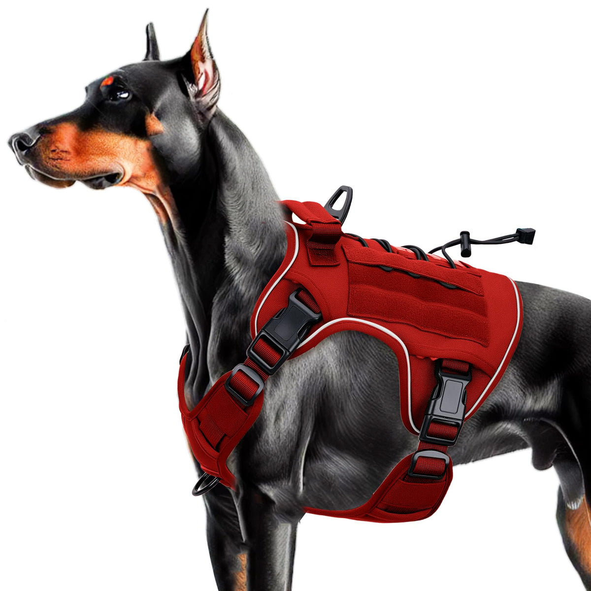 Bruvoalon heavy-duty tactical dog harness durability highlights rugged outdoor use and longevity