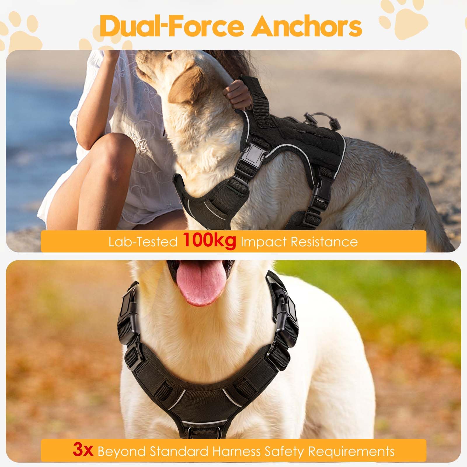 Bruvoalon heavy-duty tactical dog harness MOLLE system display for gear ready adventures.