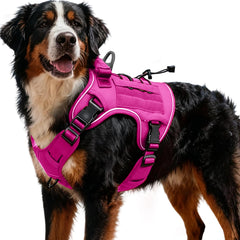 Bruvoalon heavy-duty tactical harness pink XXL front view for no-pull training