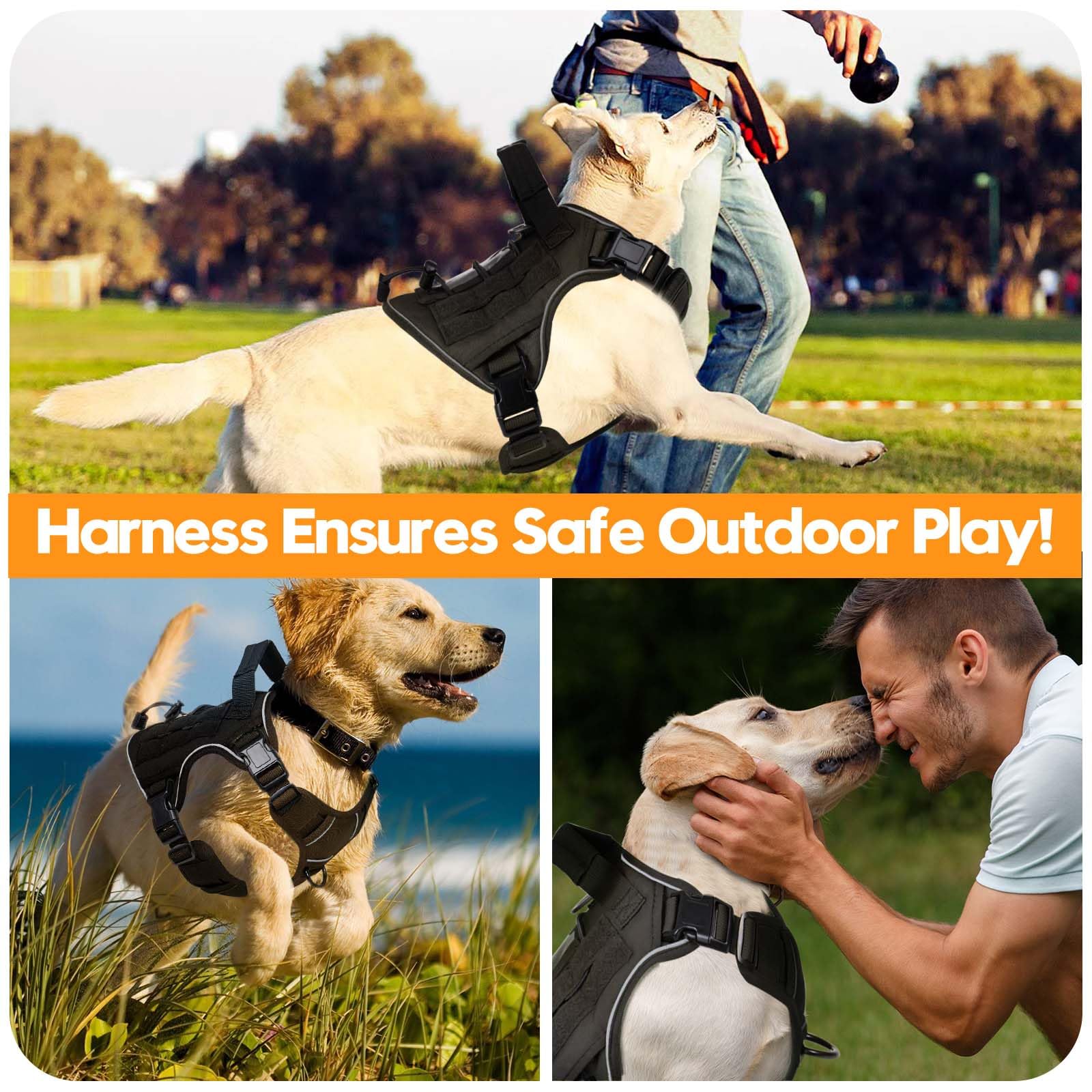 Bruvoalon heavy-duty tactical dog harness reflective trim view enhances night visibility.