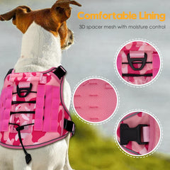 Bruvoalon harness back-clip ready for quick control during walks and training sessions.