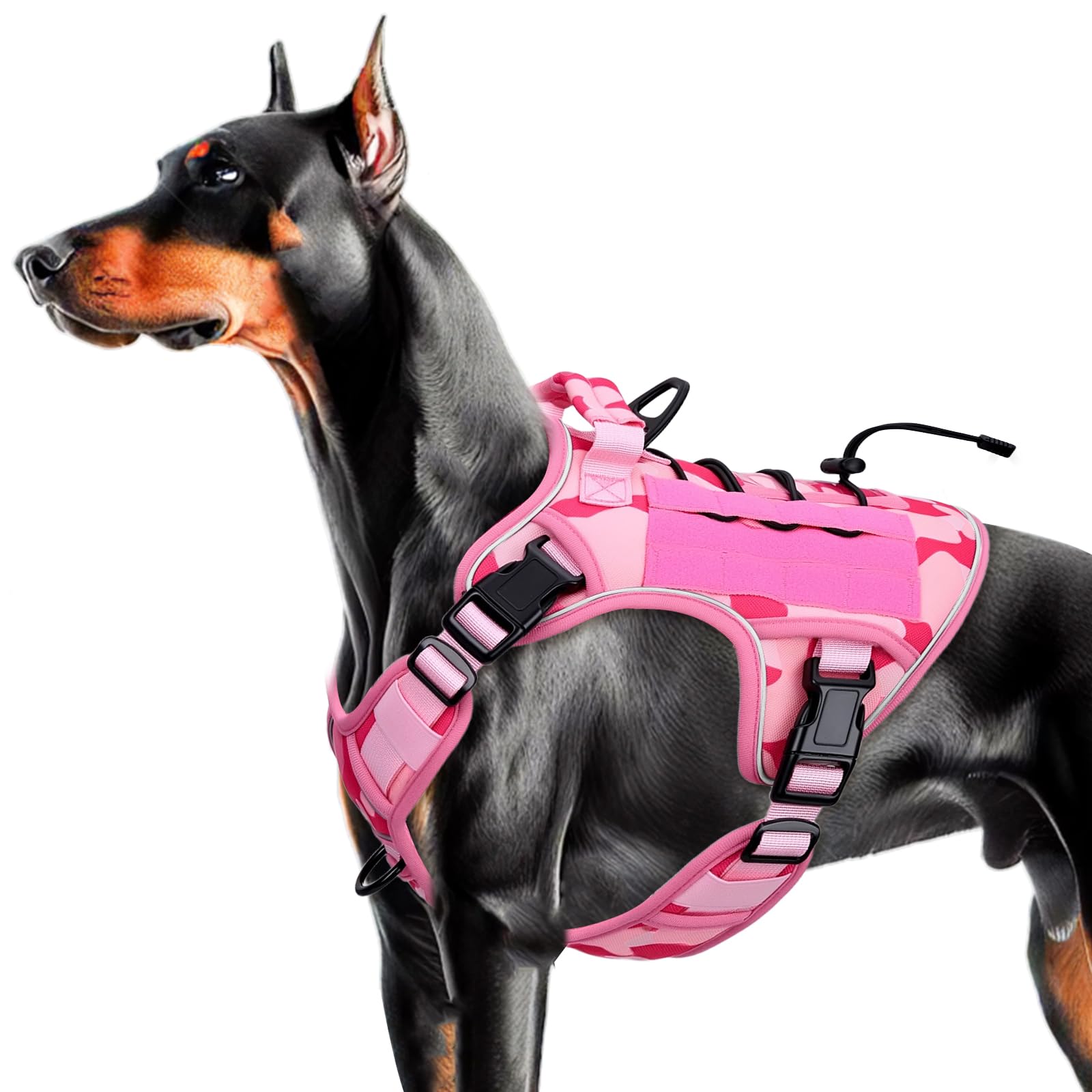 Bruvoalon heavy-duty harness front view shows rugged build for powerful dogs' daily adventures.
