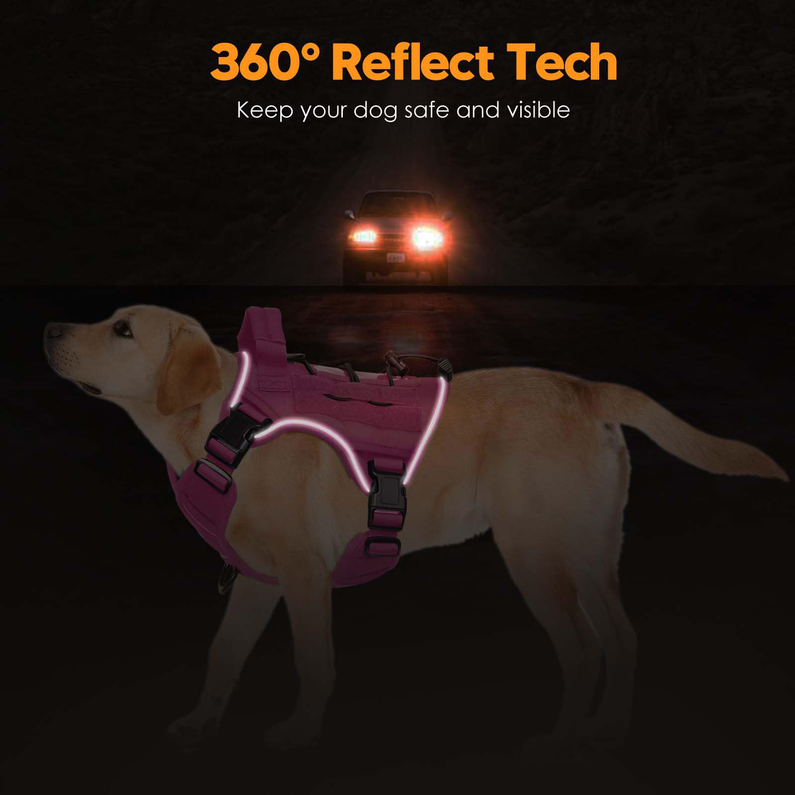 Bruvoalon reflective trim enhances visibility for night safety
