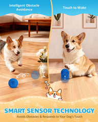 Bryxkla interactive ball IPX7 waterproof for indoor and outdoor adventures