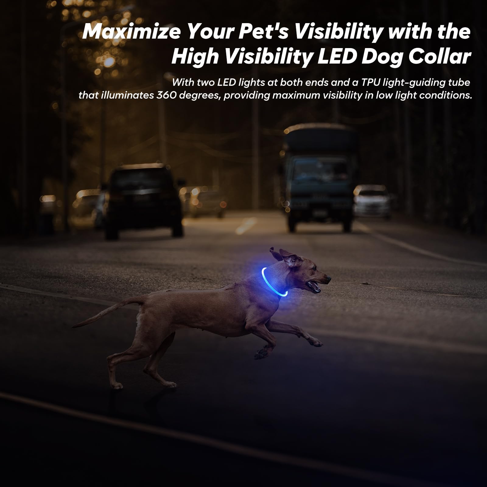 BSEEN LED collar offering multiple flash modes for nighttime signaling.