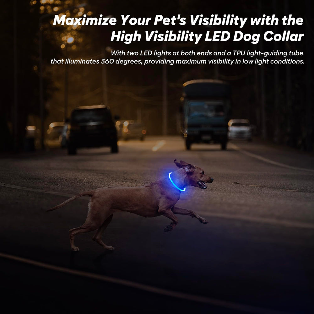 BSEEN LED collar offering multiple flash modes for nighttime signaling.