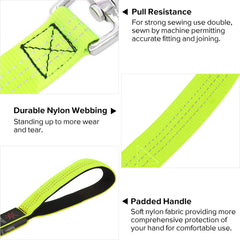 BSEEN dog leash demonstrates three glow modes for different scenarios
