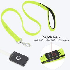 BSEEN leash shows visibility up to 500 meters during night walks