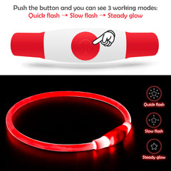 BSEEN LED dog collar shows 360-degree visibility during evening walk