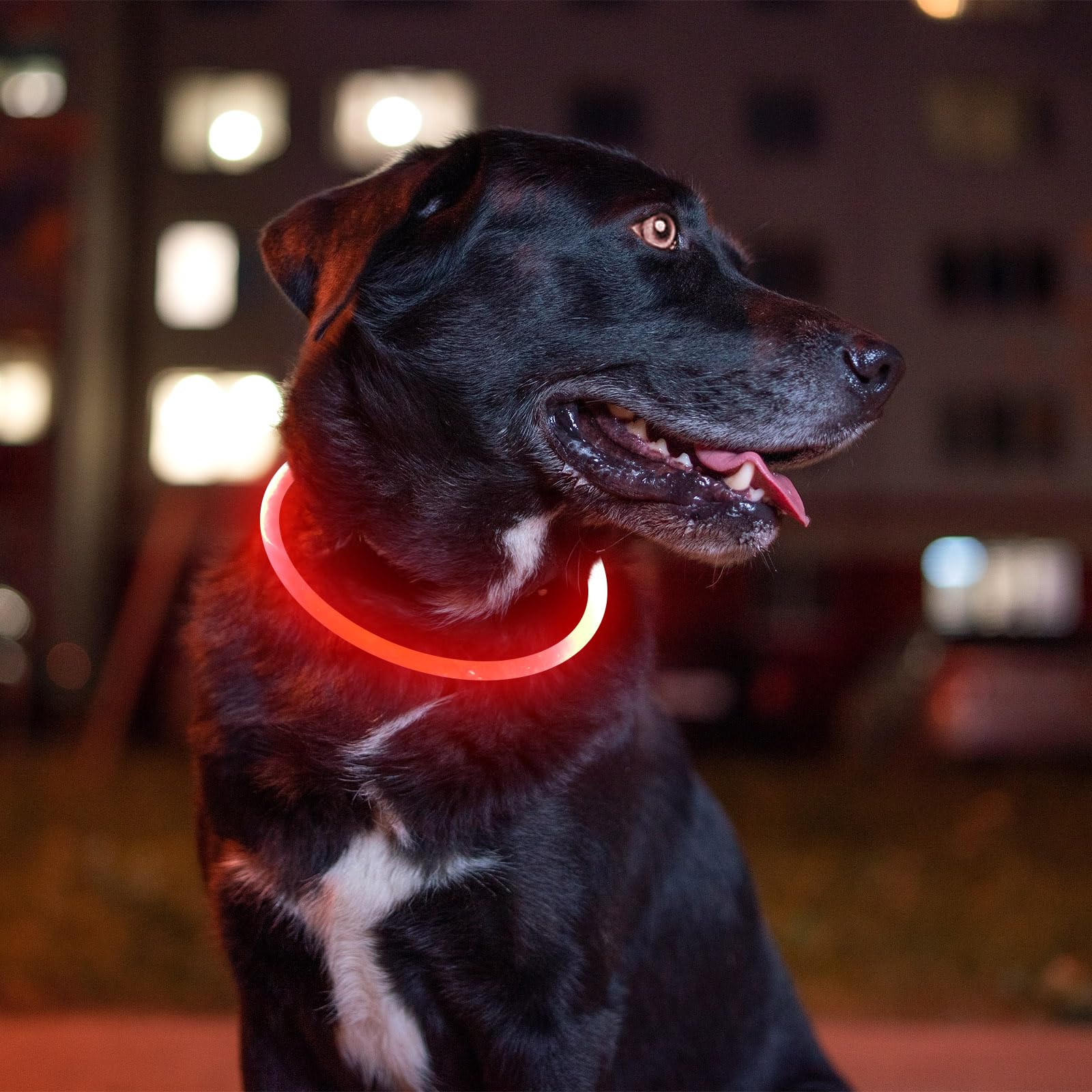 BSEEN LED dog collar trims to fit small to large dogs