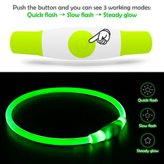BSEEN LED dog collar green on dog neck demonstrating safety during evening strolls