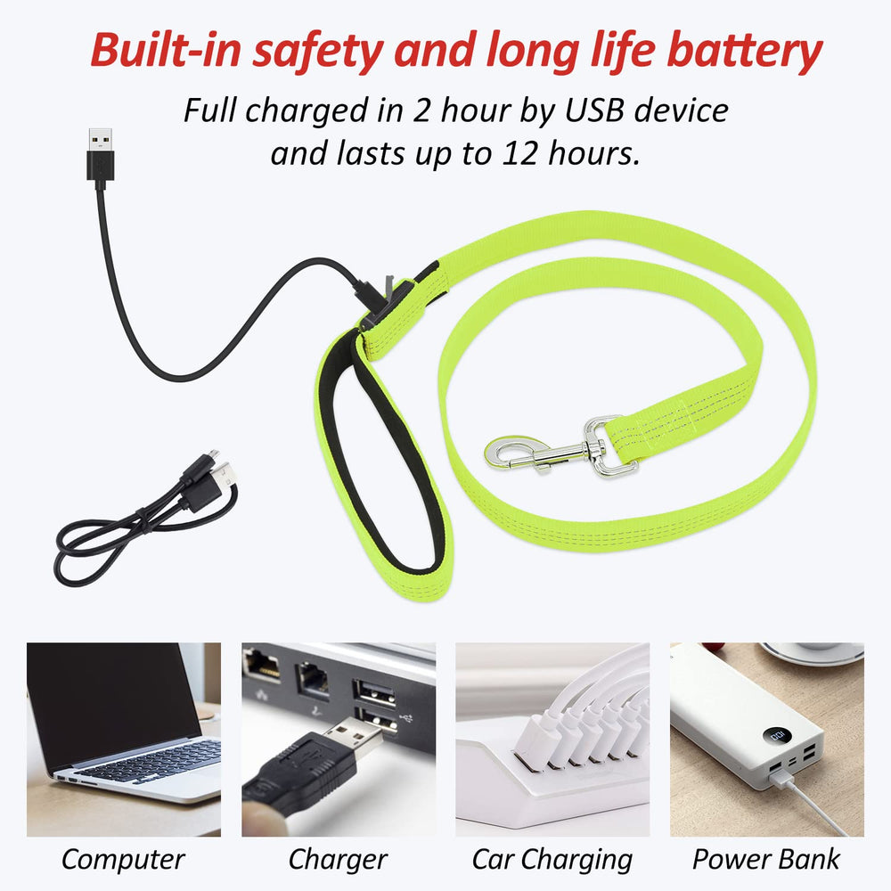 BSEEN LED dog leash USB rechargeables for easy power on the go