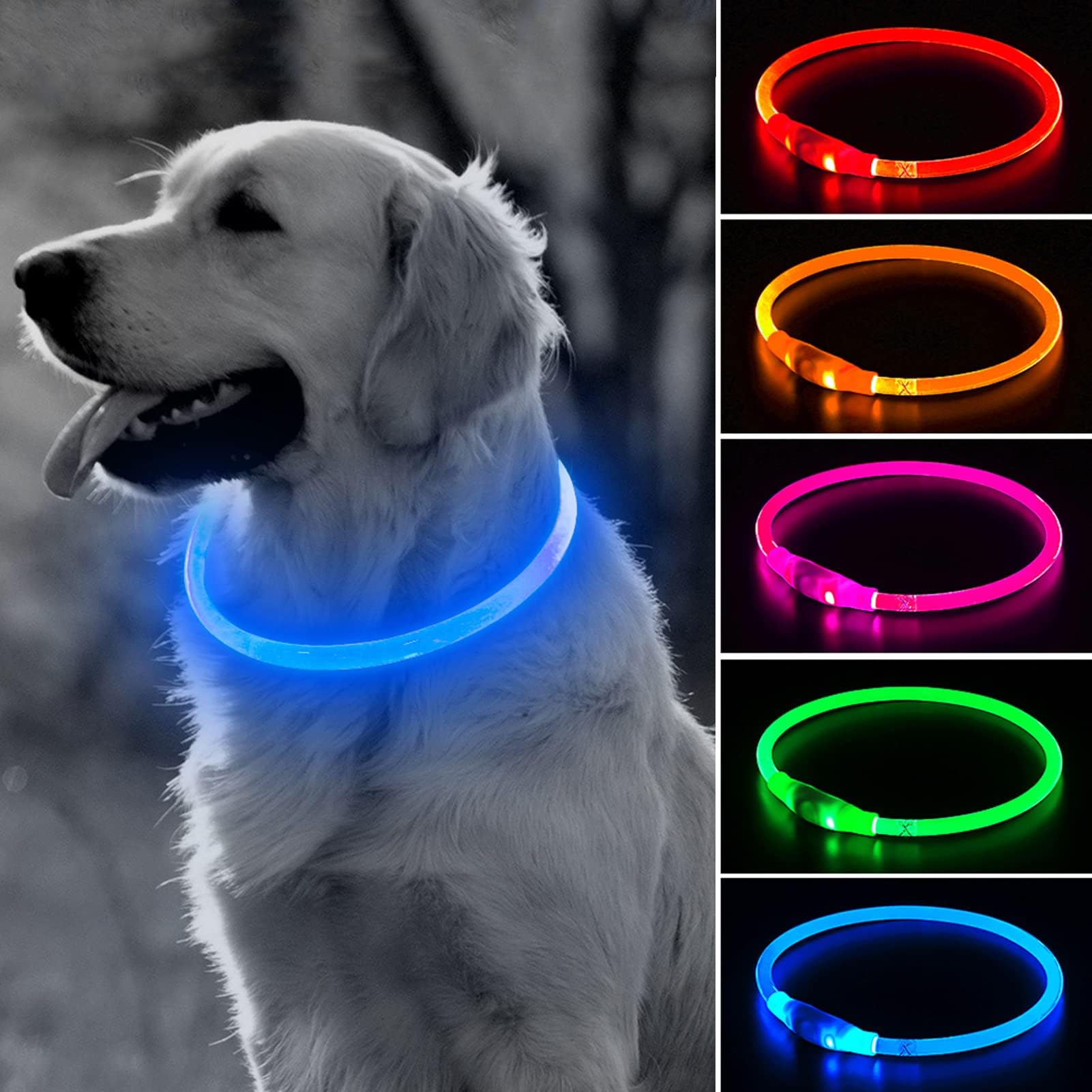 BSEEN light-up dog collar shows 360-degree visibility for night walks.