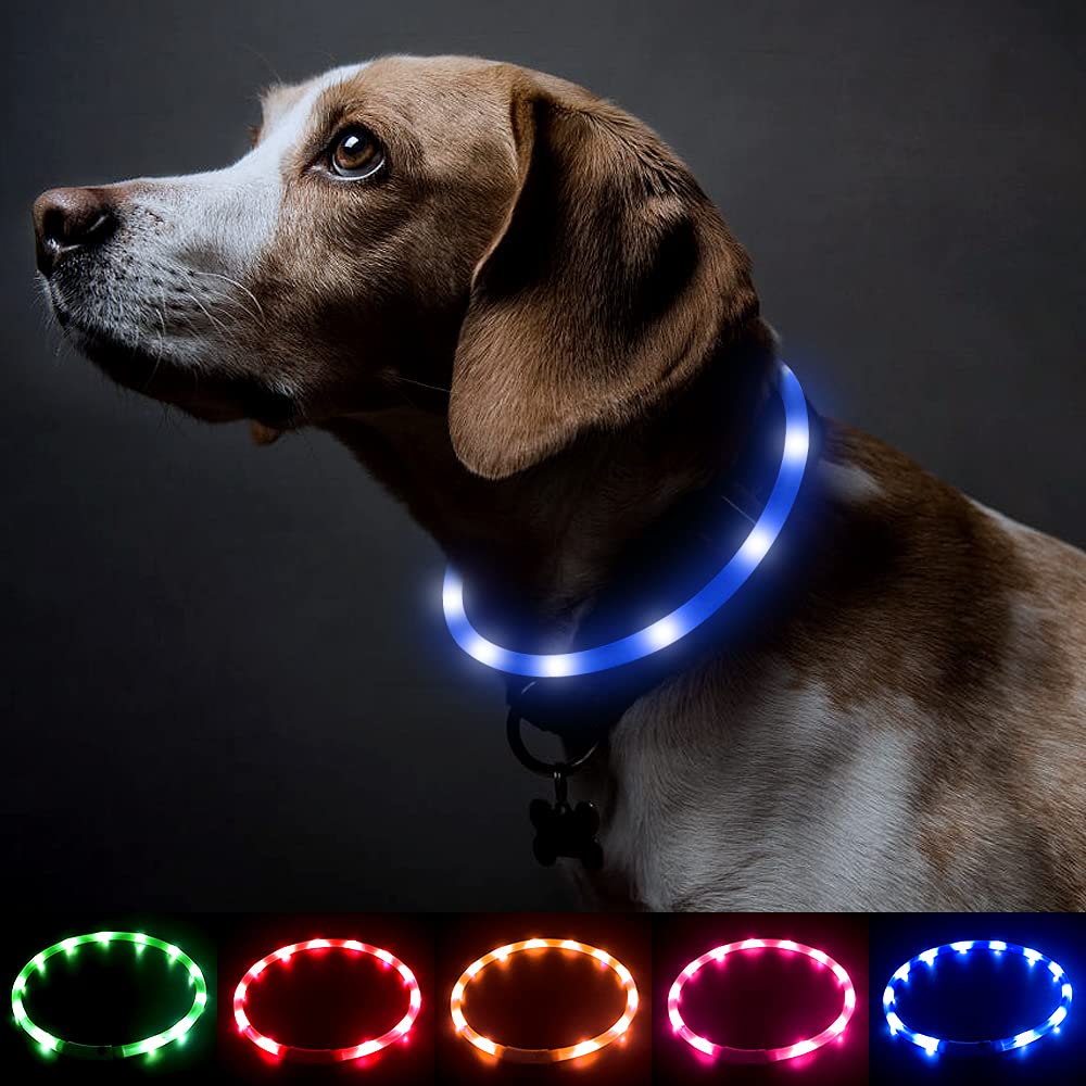 BSEEN light up dog collar blue on dog neck, high visibility at night for safety.
