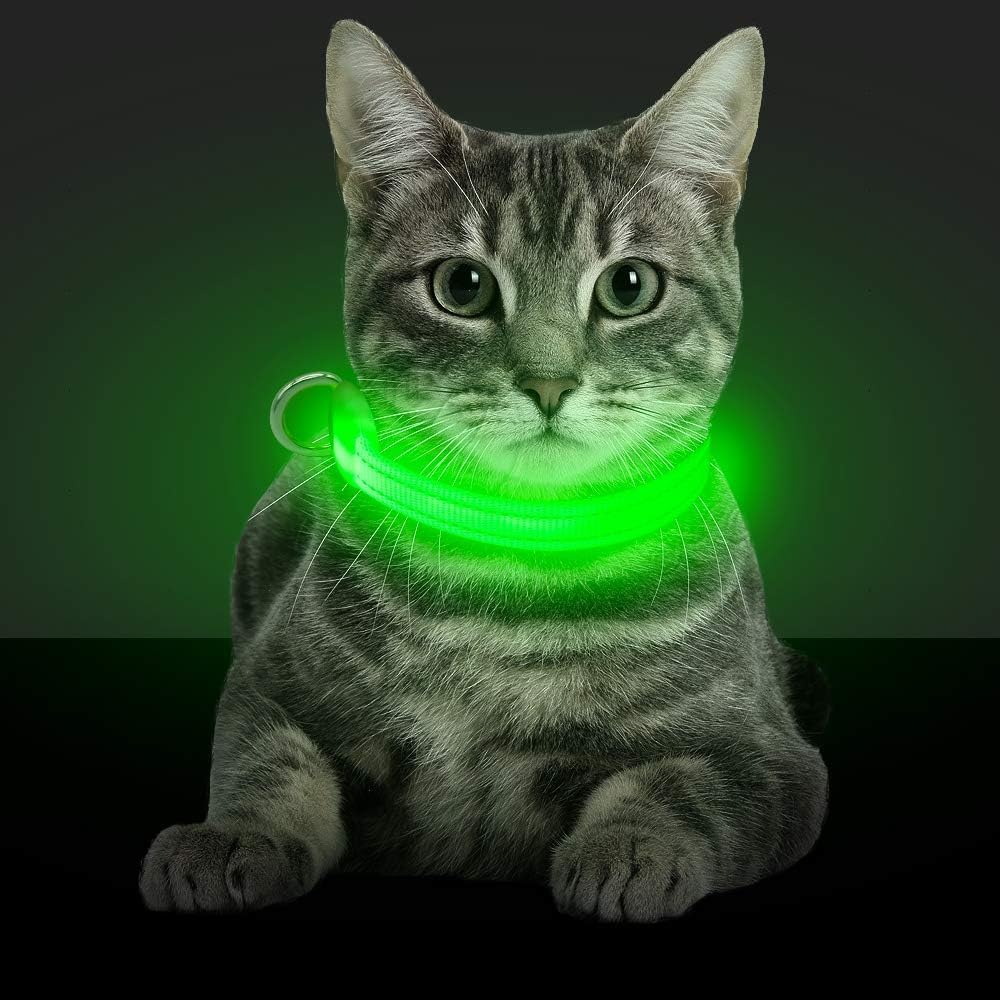 BSEEN Light Up Dog Collar green front view improves night visibility.