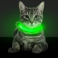 BSEEN Light Up Dog Collar green front view improves night visibility.