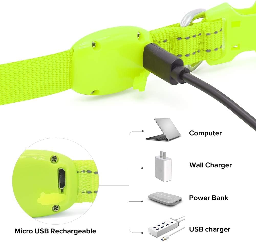 BSEEN Light Up Dog Collar green mode switch with glowing options.