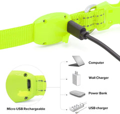 BSEEN Light Up Dog Collar green mode switch with glowing options.