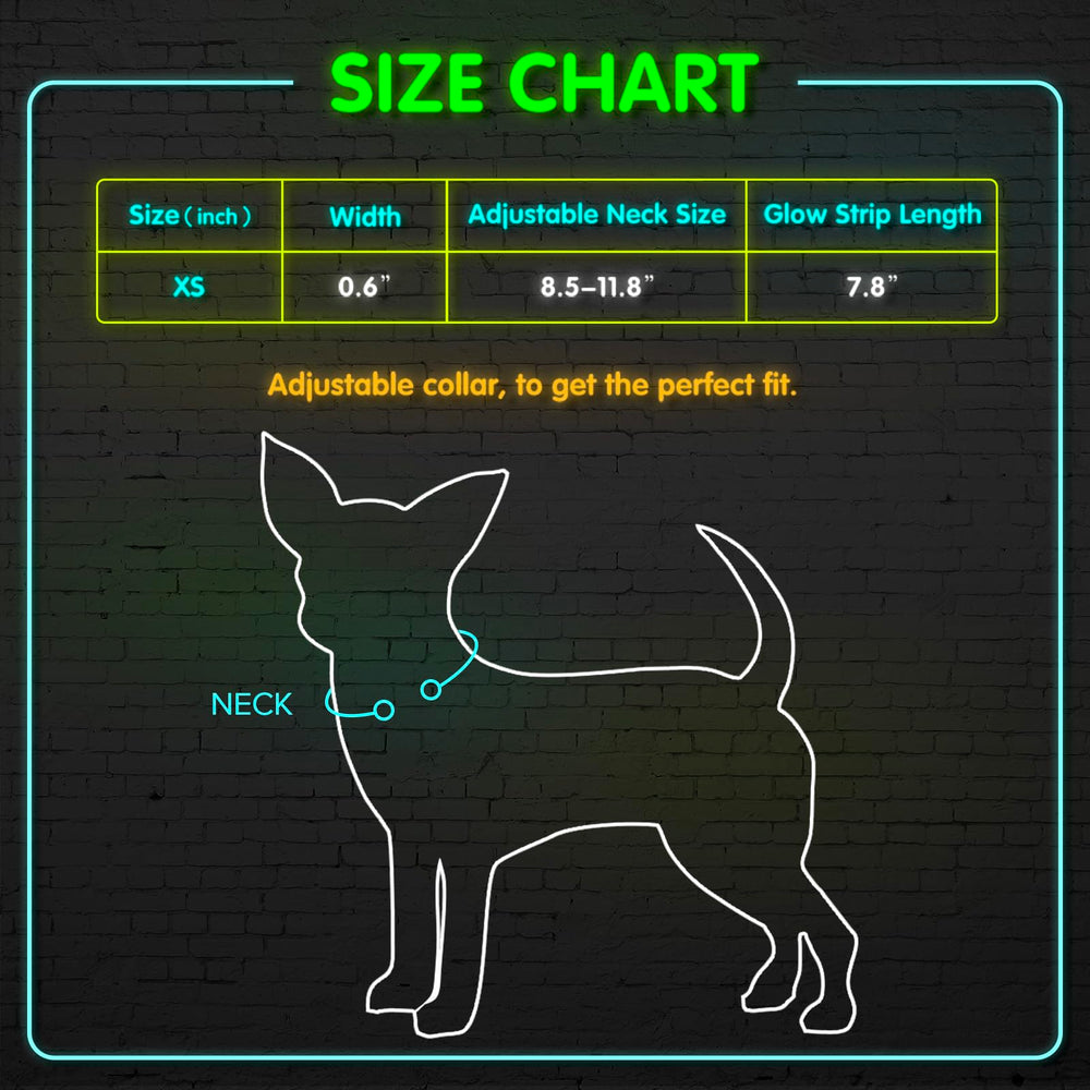 BSEEN Light Up Dog Collar green worn during a night walk for safety.