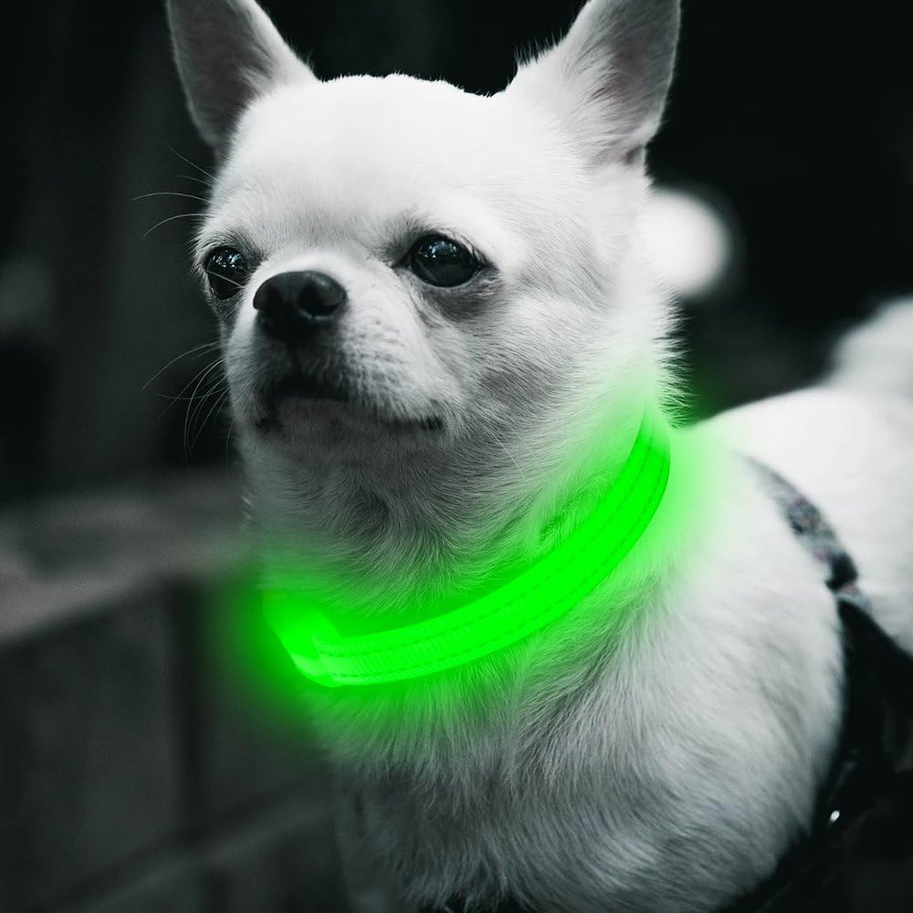 BSEEN Light Up Dog Collar green packaging highlights rechargeable feature.