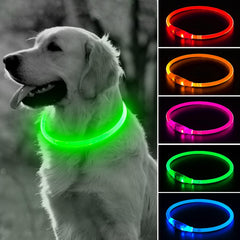 BSEEN Light Up Dog Collar with 360-degree green glow for safer nighttime walking