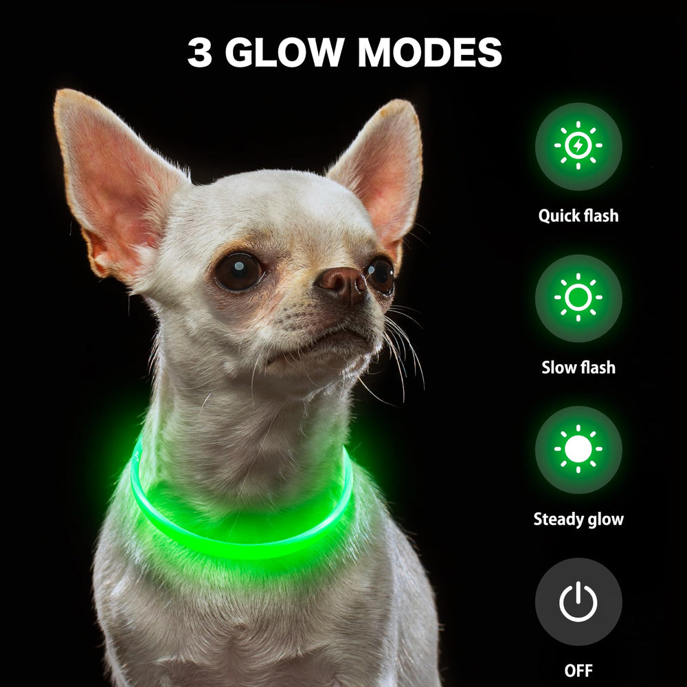 BSEEN Light Up Dog Collar night-walk setup for safer evening strolls.