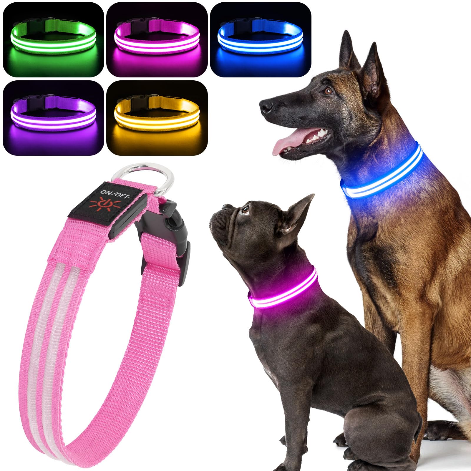 BSEEN Light Up Dog Collar glows on a dog at dusk for safer night walking.