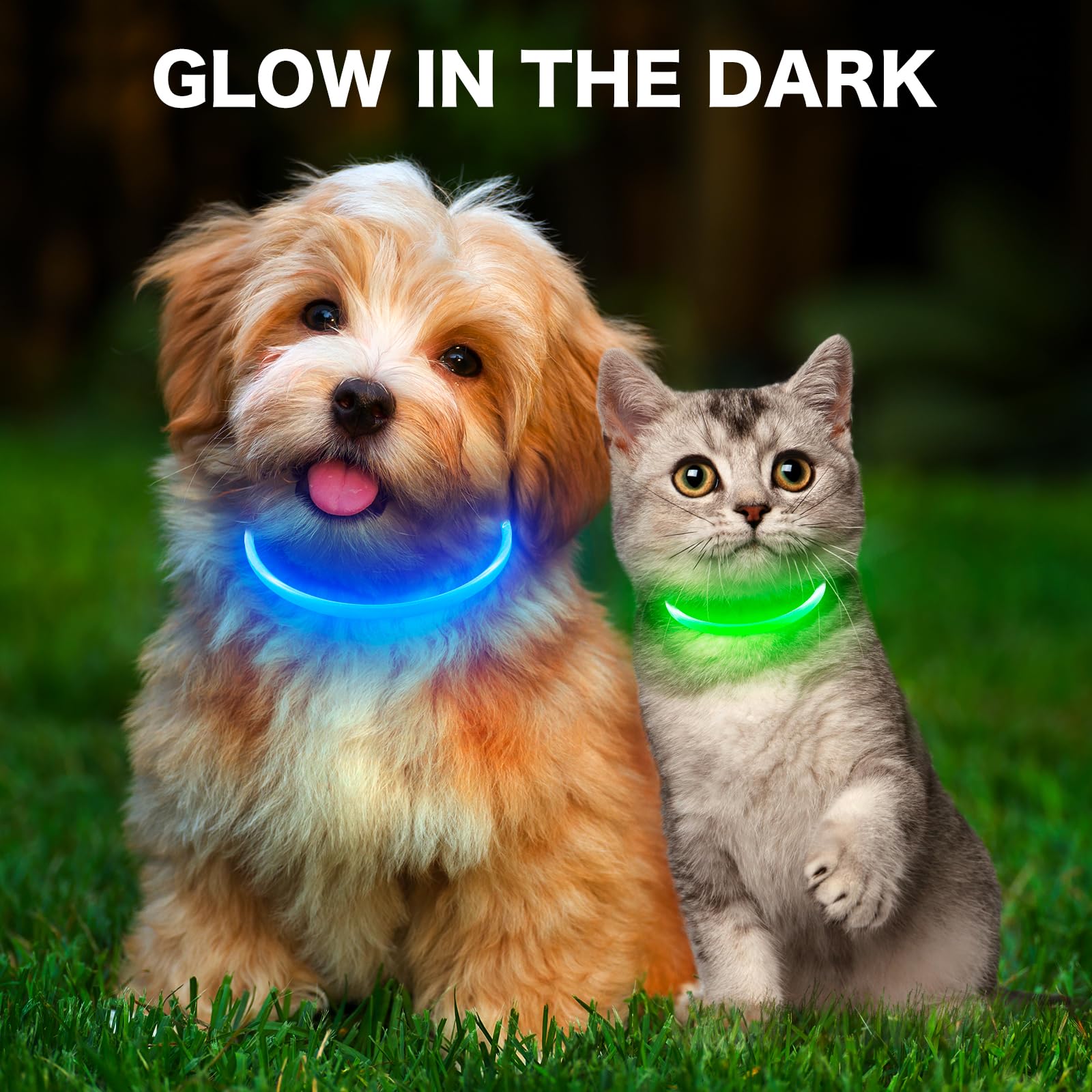 BSEEN Light Up Dog Collar ideal for small dogs and cats during night use.
