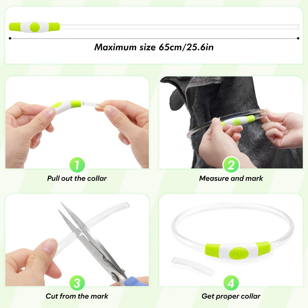 BSEEN rechargeable LED collar charges via USB for convenient nightly use