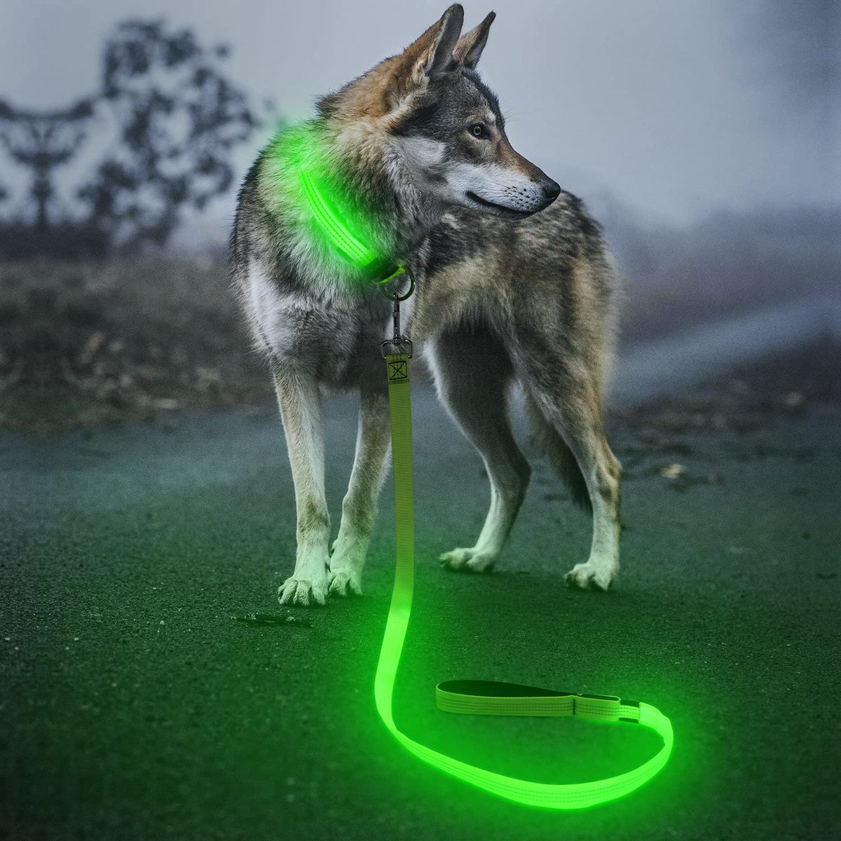 BSEEN light up dog leash 4ft green glow for higher night visibility