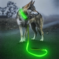 BSEEN light up dog leash 4ft green glow for higher night visibility