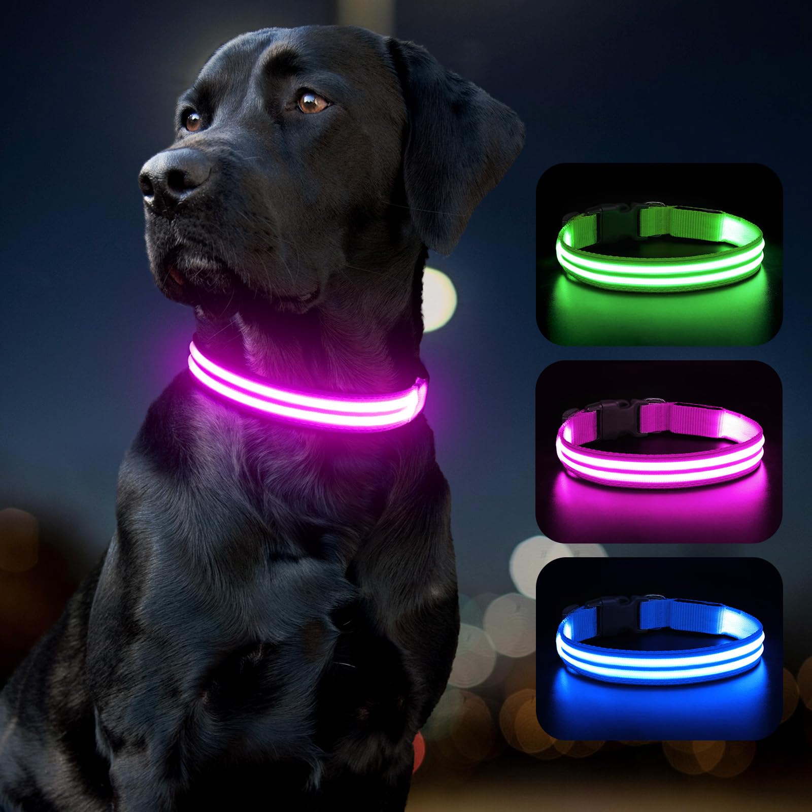 BSEEN LED dog collar ready for new adventures with your pet.