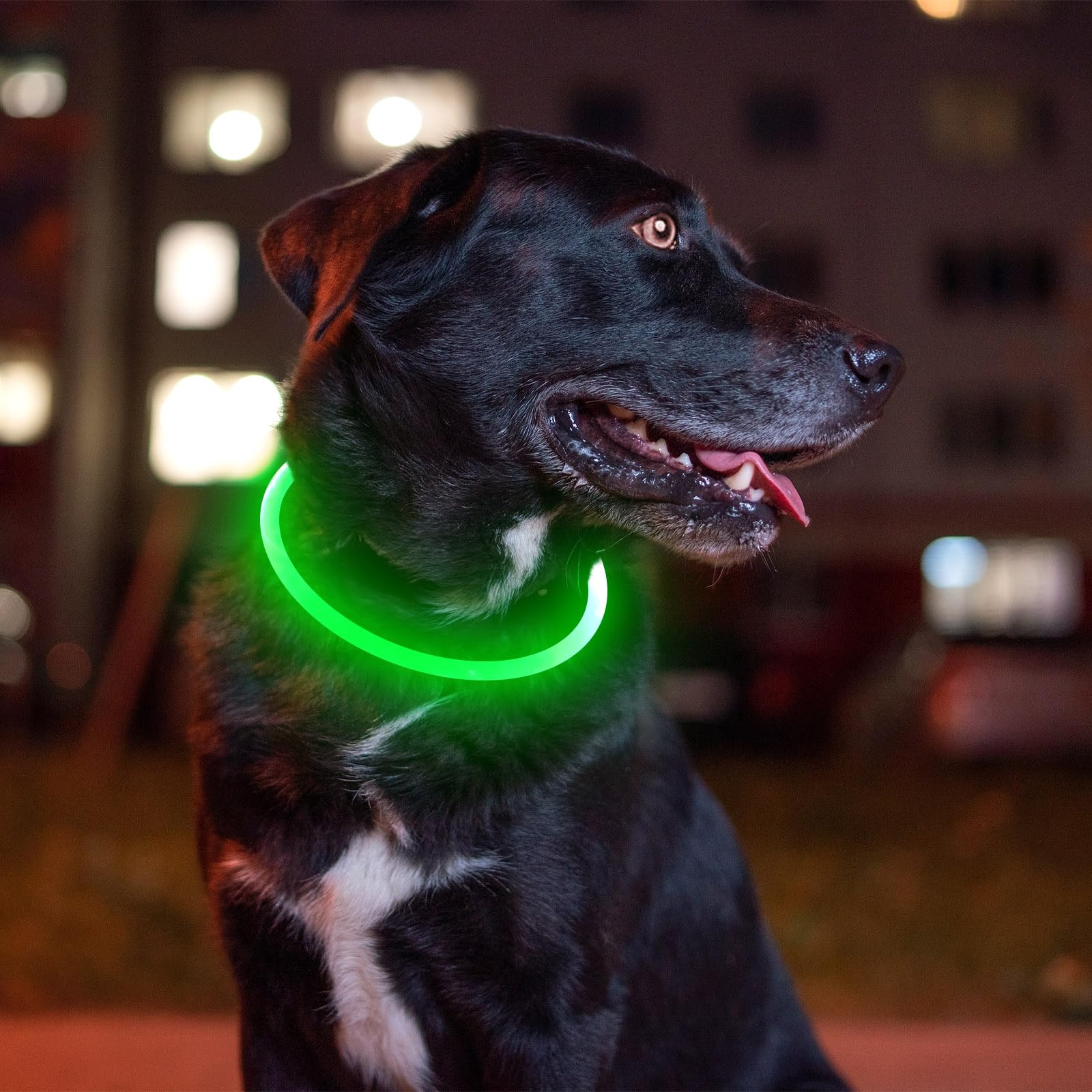 BSEEN night walk setup with glow and modes