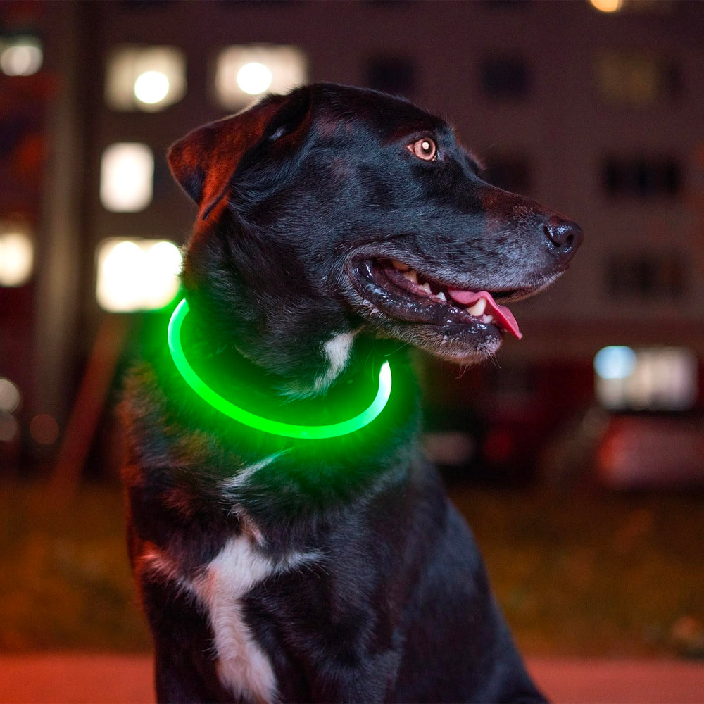 BSEEN night walk setup with glow and modes