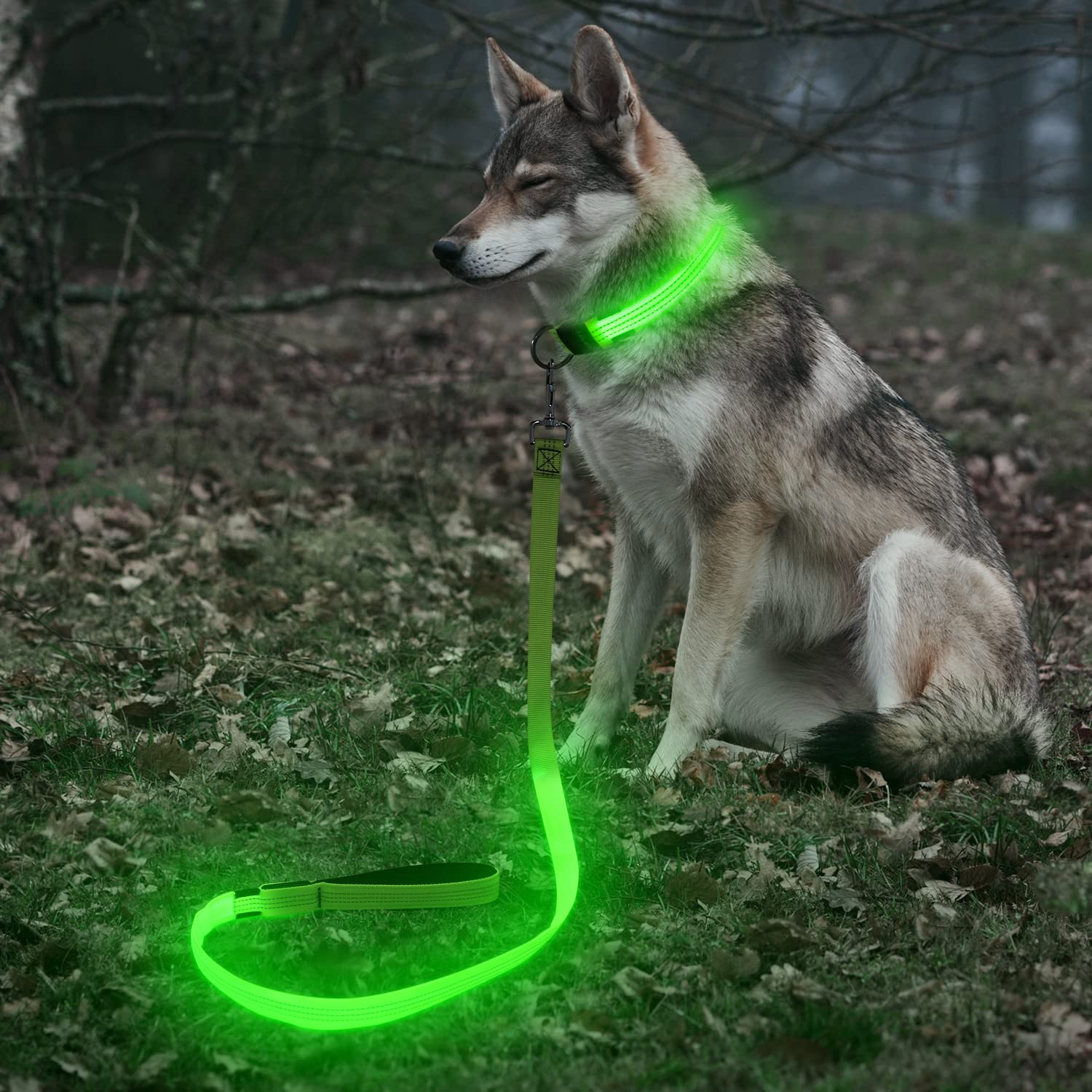BSEEN reflective green glow improves safety on evening strolls