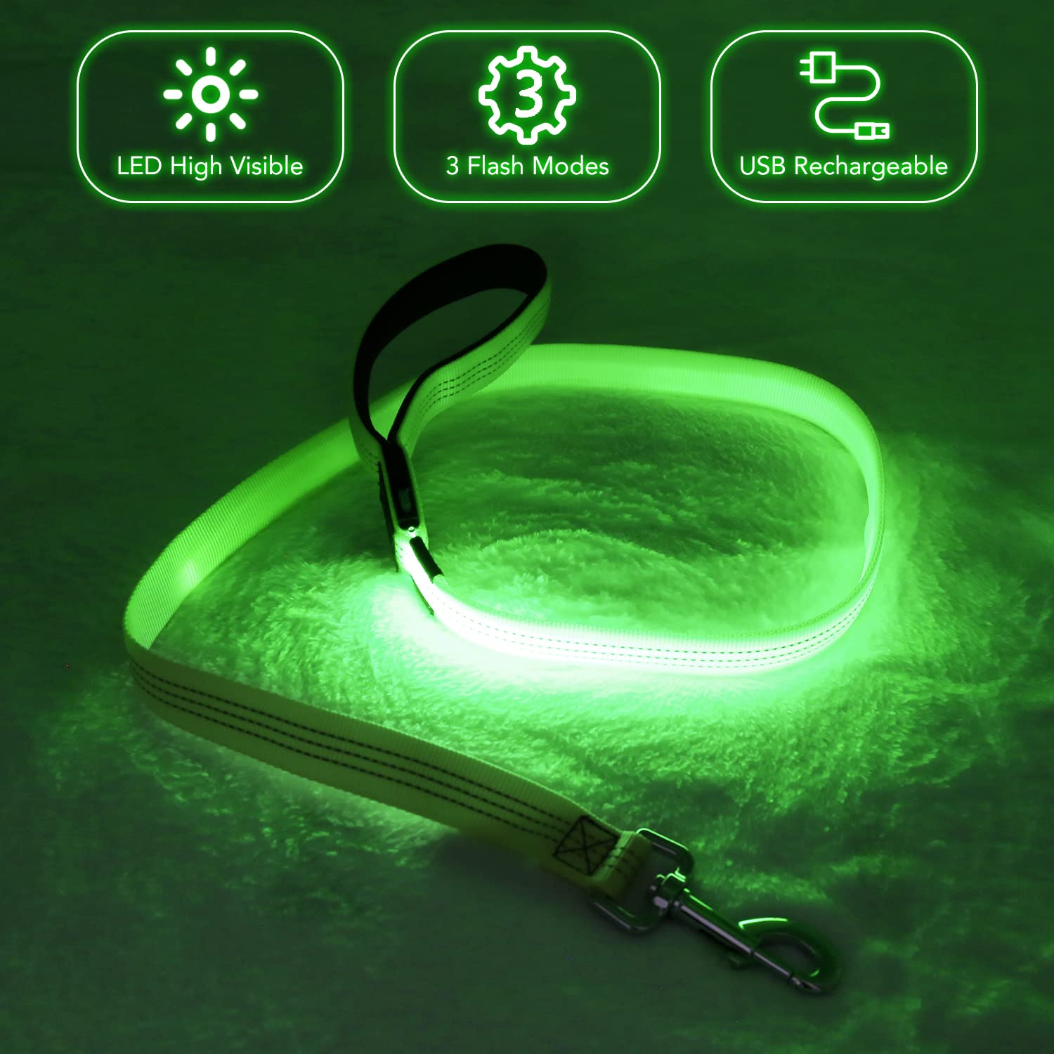 BSEEN nylon webbing dog leash designed for secure control