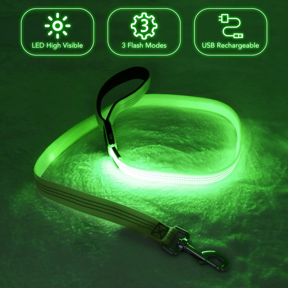 BSEEN nylon webbing dog leash designed for secure control