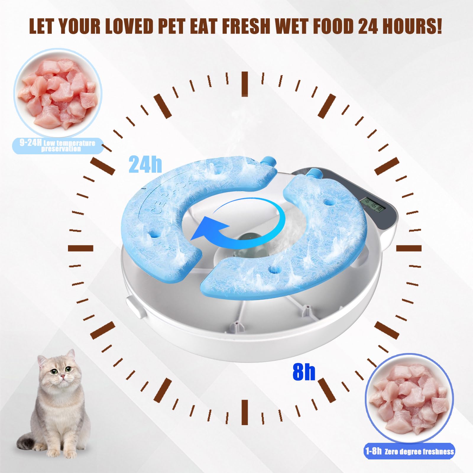Bsemax cat feeder with four independent compartments keeps meals hygienic and portioned