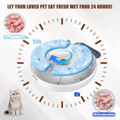 Bsemax cat feeder with four independent compartments keeps meals hygienic and portioned