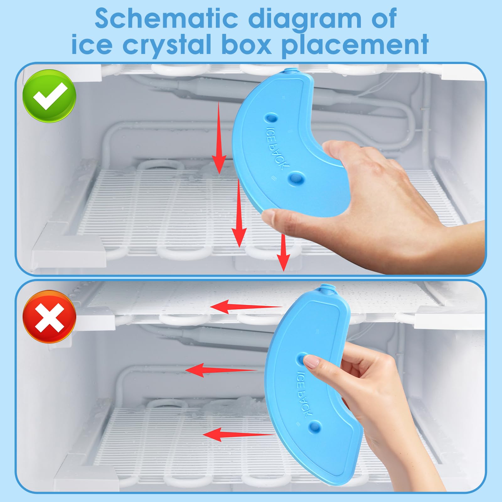 Bsemax compact design fits on a kitchen counter