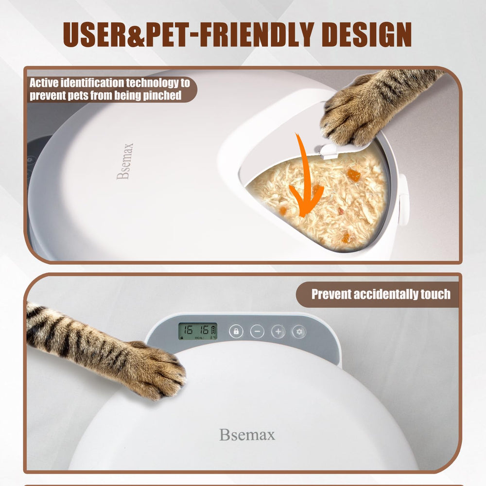 Bsemax four-compartment feeder shows spacious meal spouts for pets