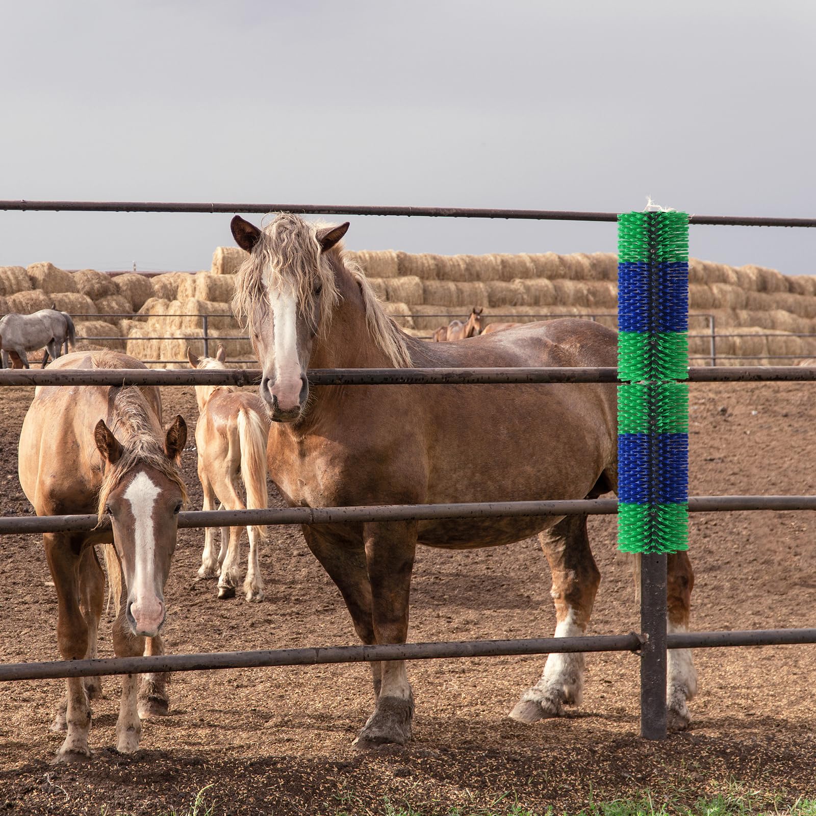 BShome livestock brush outdoor-ready design for fences and sheds