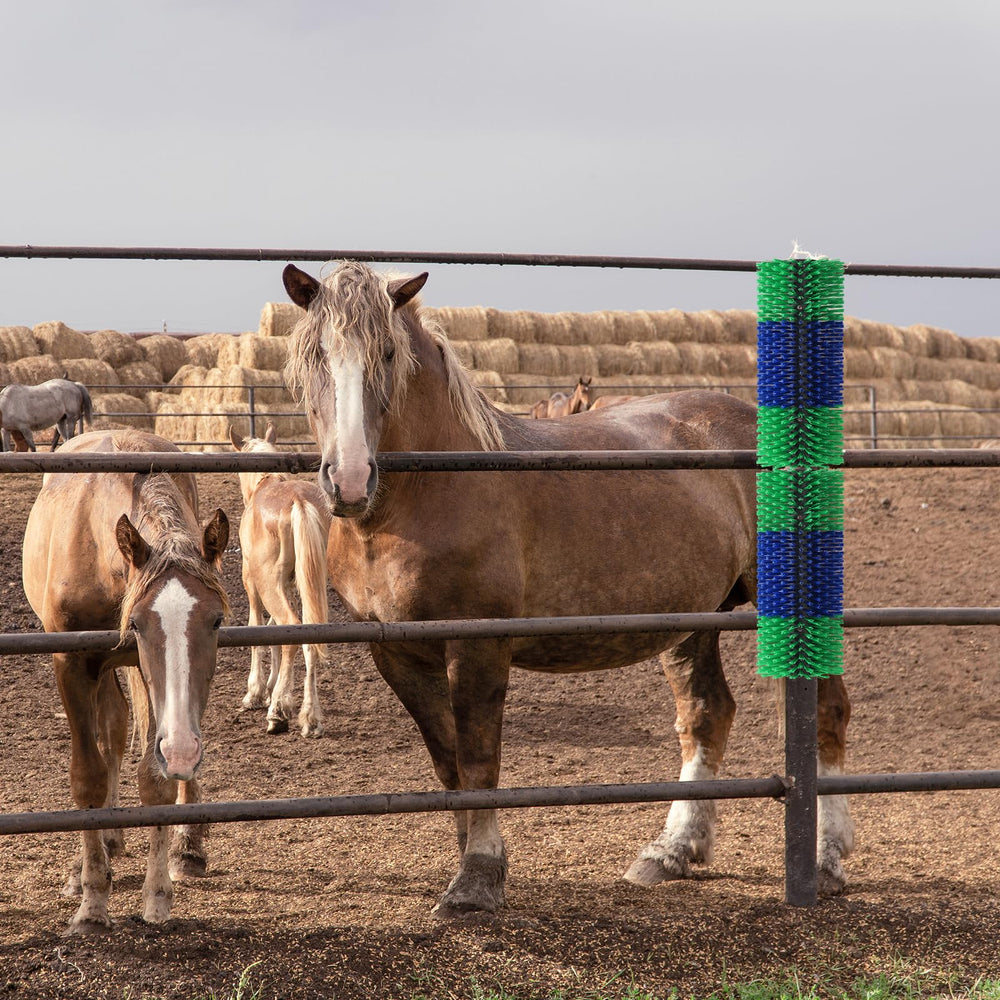 BShome livestock brush outdoor-ready design for fences and sheds
