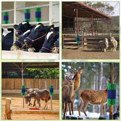 BShome livestock scratching brush side view illustrates comfortable grooming for large animals