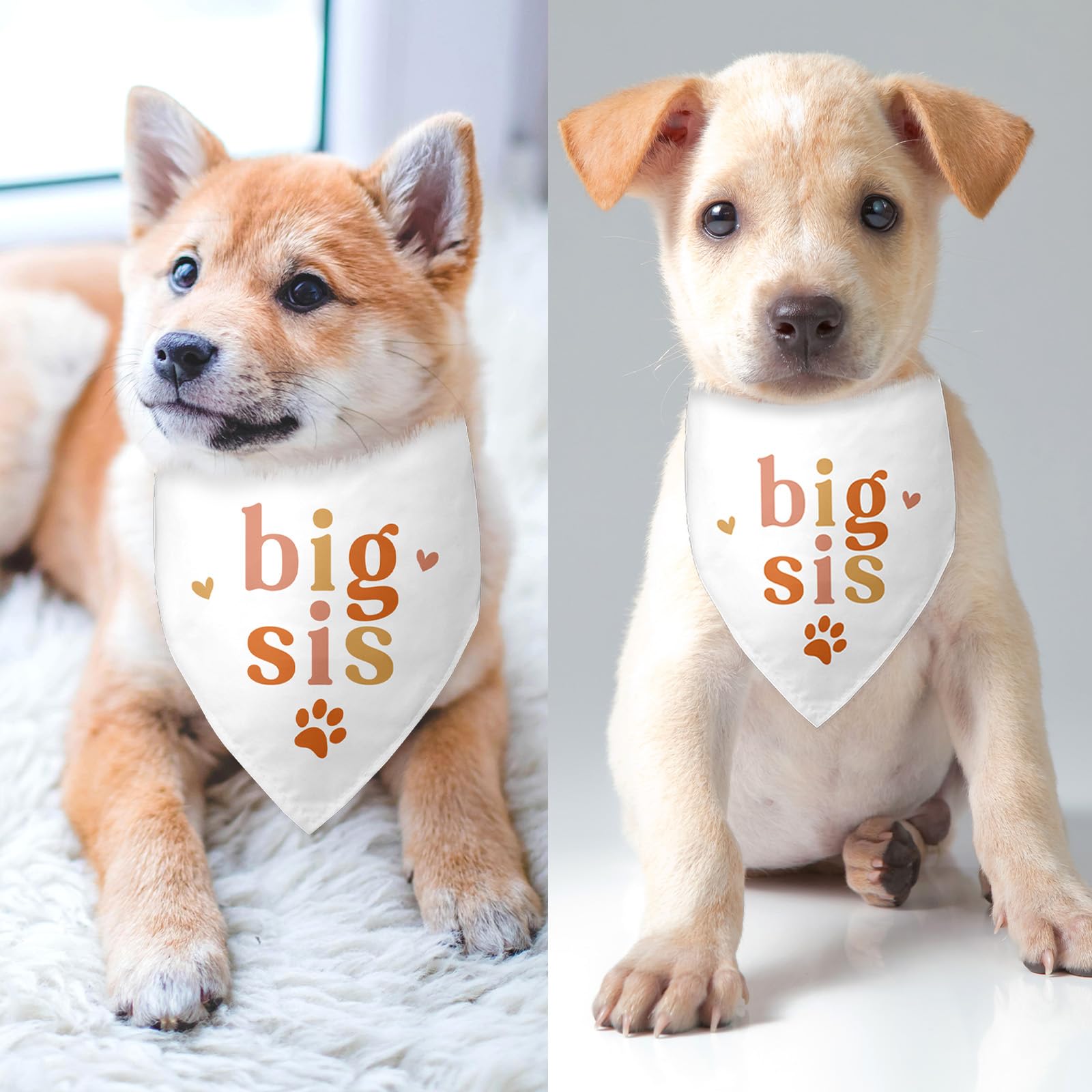 Bsicuvaek perfect-size-bandana fits small to medium dogs comfortably.