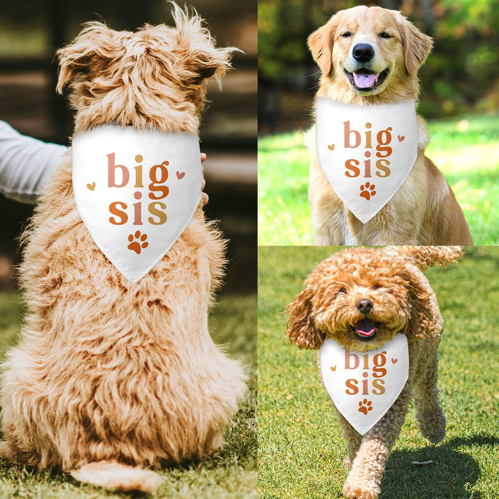 Bsicuvaek pregnancy-announcement-bandana ideal for sharing news with pets in photos.