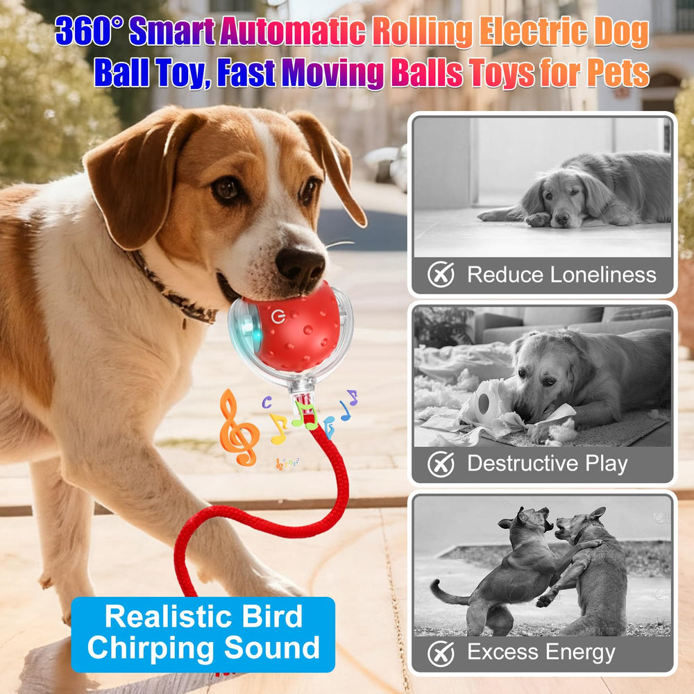 BSolus TinyFetch 360° roll action demonstrates unexpected directions for active exercise